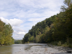 DSCN0107.JPG