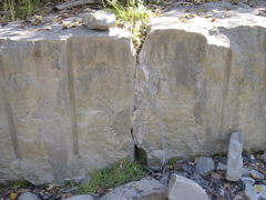 DSCN0052.JPG