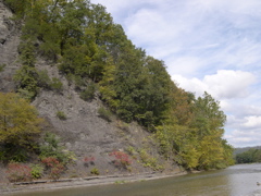 DSCN0110.JPG