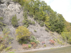 DSCN0109.JPG