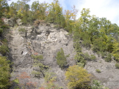 DSCN0111.JPG