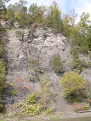 DSCN0112.JPG