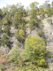 DSCN0113.JPG