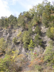 DSCN0114.JPG