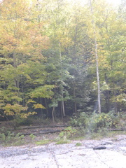 DSCN0123.JPG