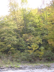 DSCN0125.JPG