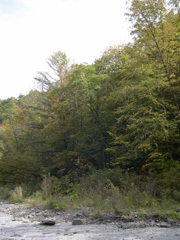 DSCN0126.JPG