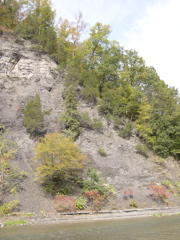 DSCN0131.JPG