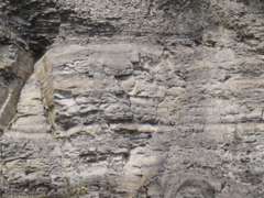 DSCN0136.JPG
