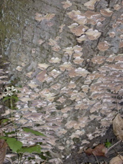 DSCN0138.JPG