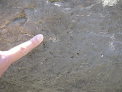DSCN0056.JPG