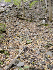 DSCN0146.JPG