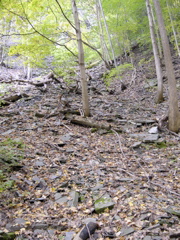 DSCN0147.JPG