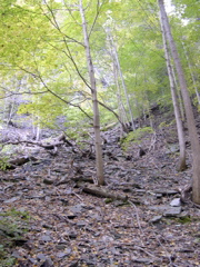 DSCN0148.JPG