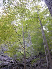 DSCN0150.JPG