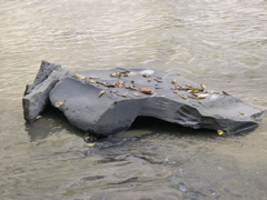 DSCN0158.JPG