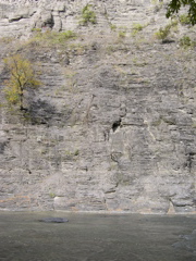 DSCN0159.JPG