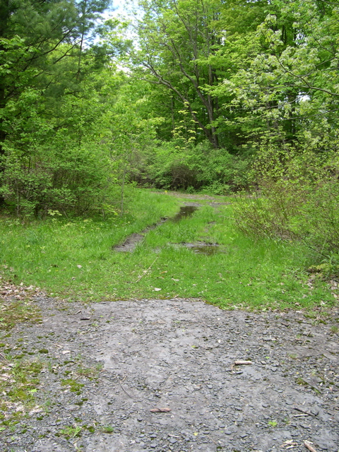DSCN0828.JPG
