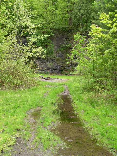 DSCN0829.JPG