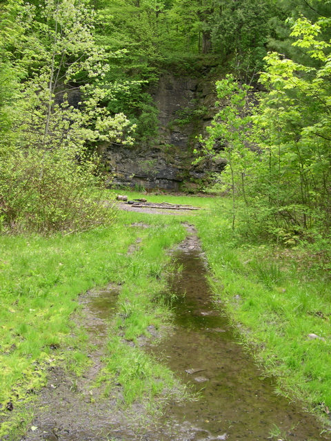 DSCN0830.JPG