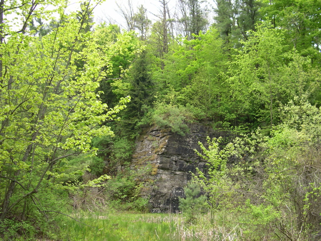 DSCN0832.JPG