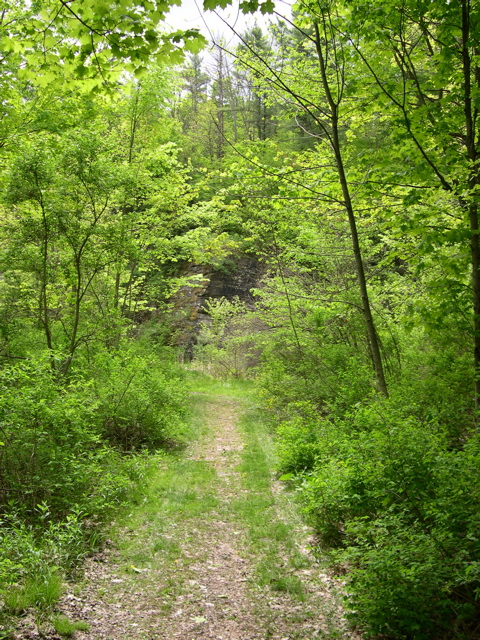DSCN0834.JPG