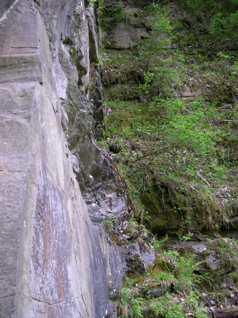 DSCN0821.JPG