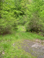 DSCN0831.JPG