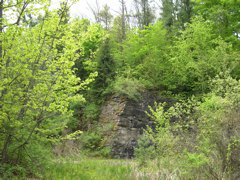 DSCN0832.JPG