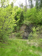 DSCN0833.JPG