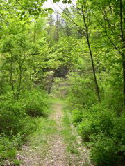 DSCN0834.JPG