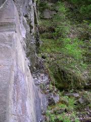 DSCN0821.JPG