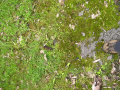 DSCN0825.JPG